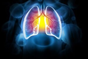 Chronic Obstructive Pulmonary Disease in the Elderly: Care Services and Support